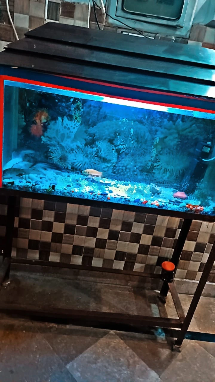 complete fish aquarium for sale