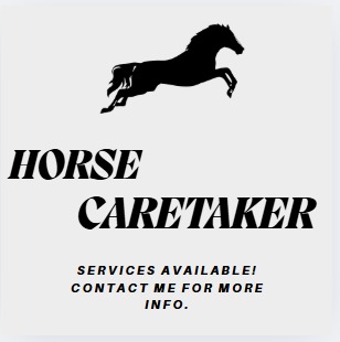 Horse Caretaker Available!
