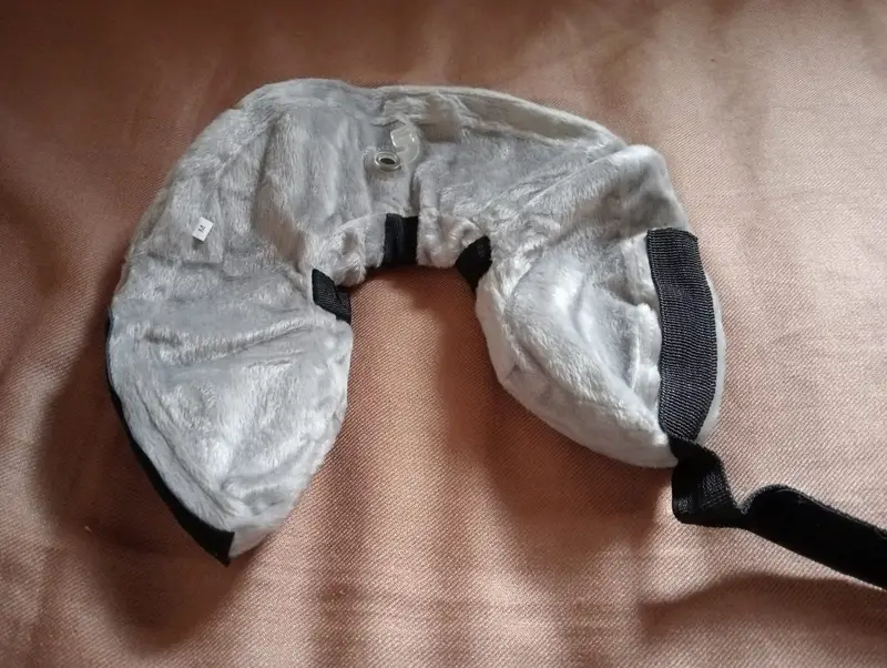 Dog Inflatable Collar