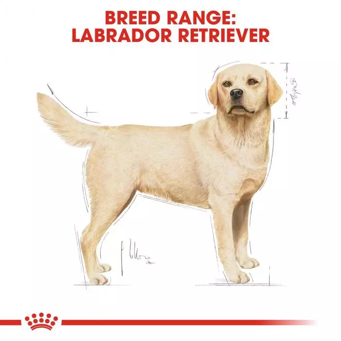 ROYAL CANIN® Labrador Adult Dry Dog Food