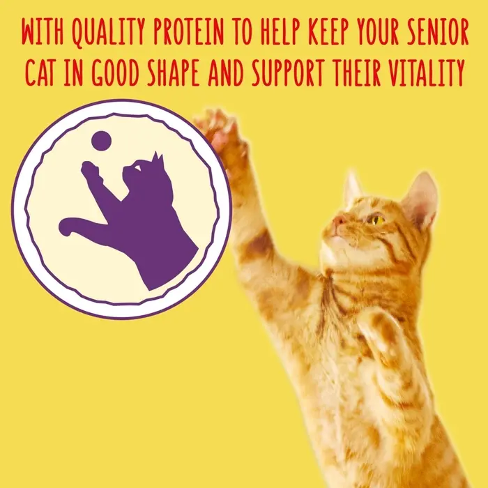 GO-CAT Senior Chicken Dry Cat Food