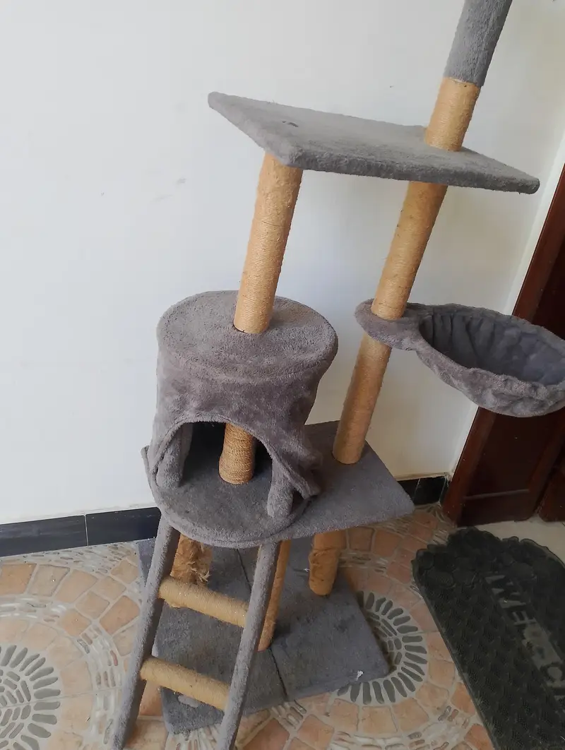 Cat Tree House for Sale