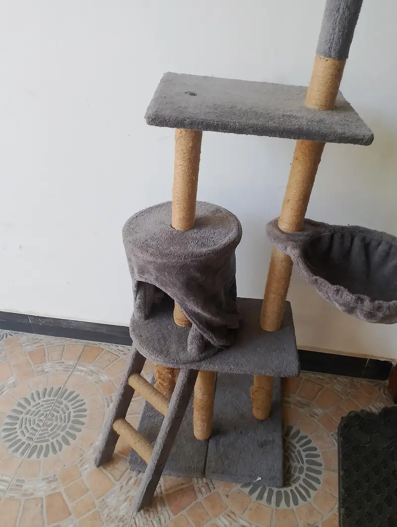 Cat Tree House for Sale