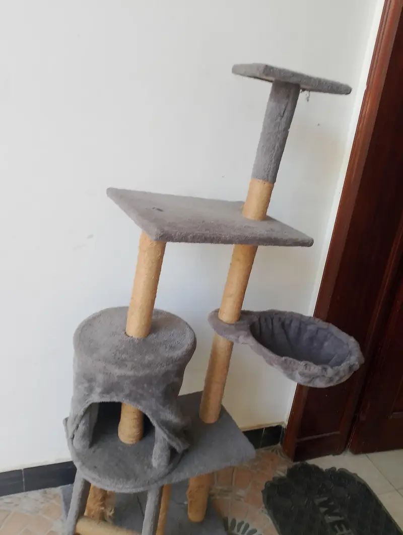 Cat Tree House for Sale