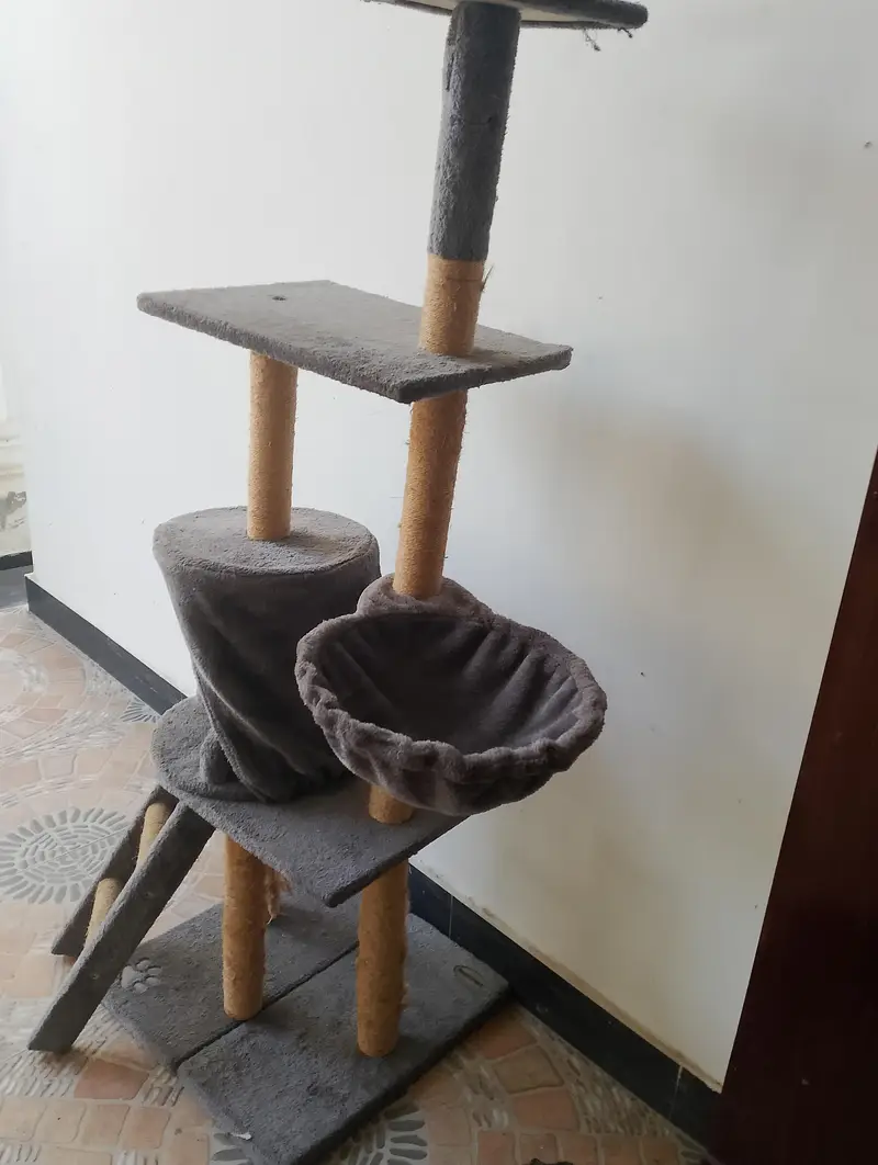 Cat Tree House for Sale