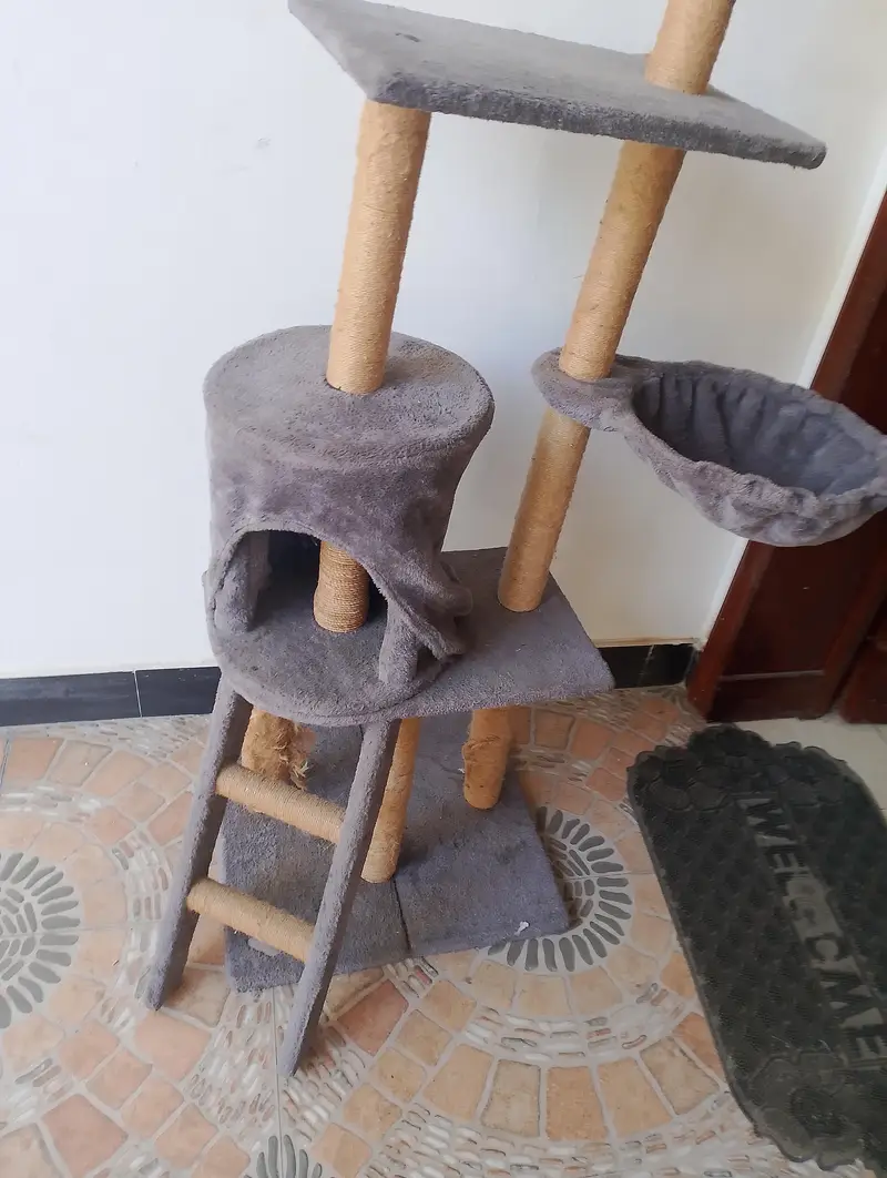 Cat Tree House for Sale