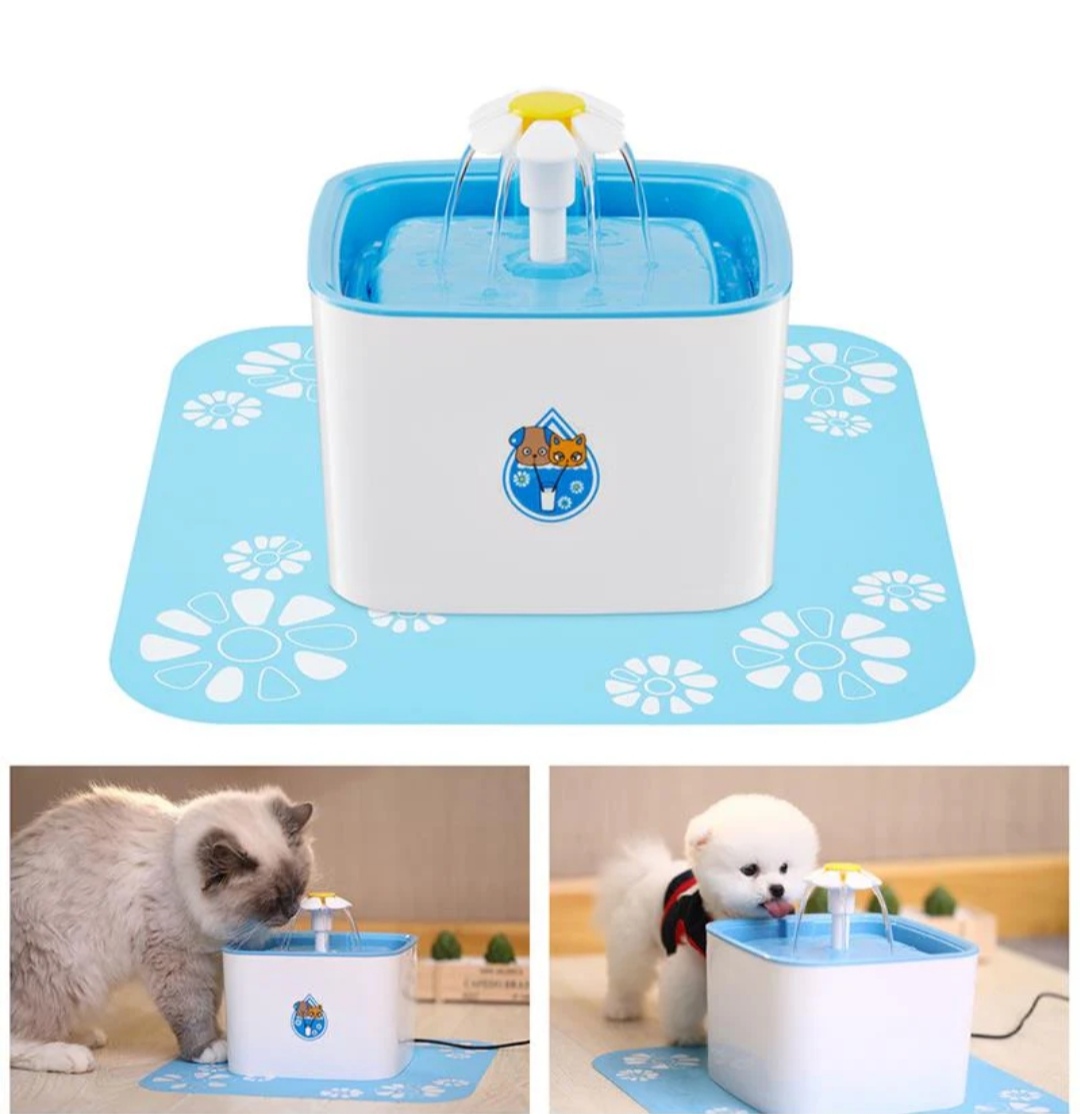 Fresh water bowl to keep your cats hydrated and healthy All day