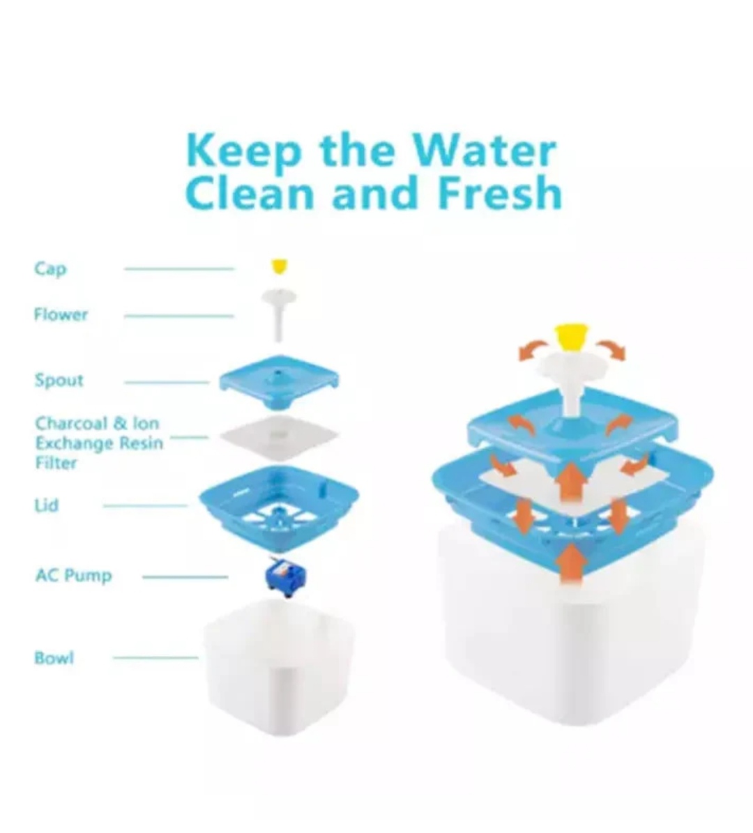 Fresh water bowl to keep your cats hydrated and healthy All day