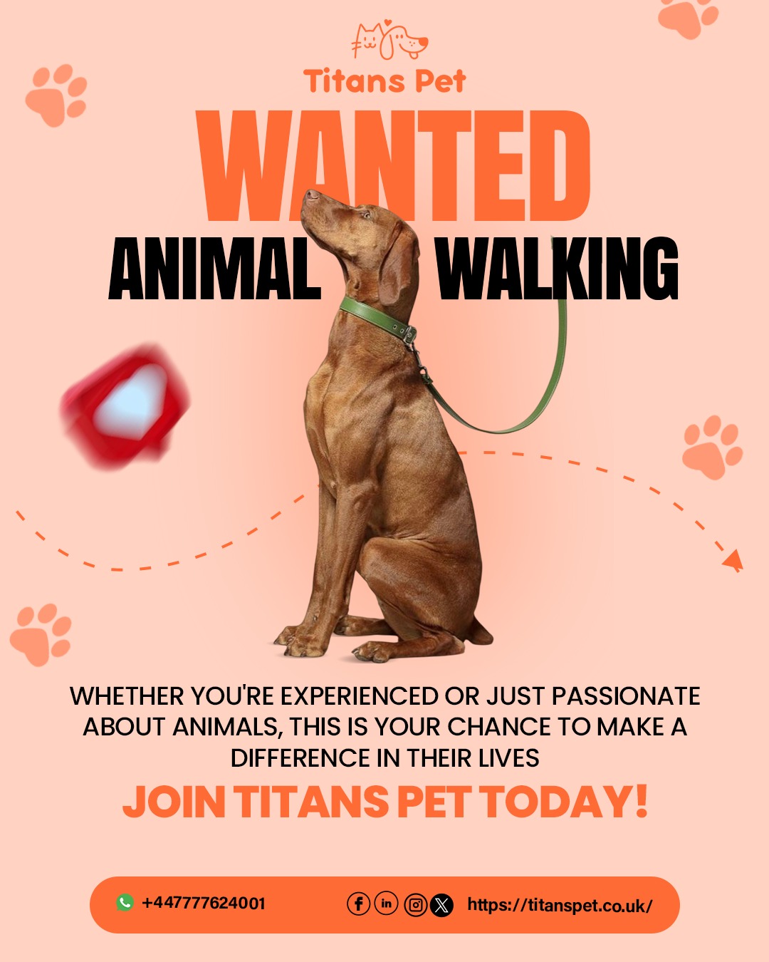 Titans Pet is currently seeking a professional dog walker.