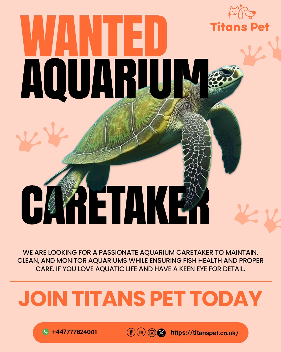 Titans Pet is actively looking for a professional aquarium caretaker