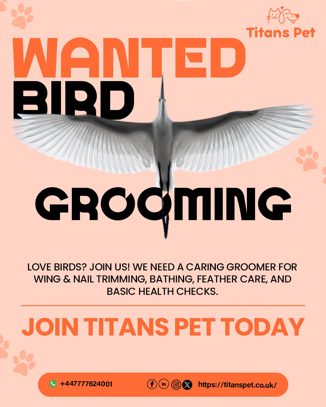 Titans Pet is seeking a skilled Bird Grooming Specialist