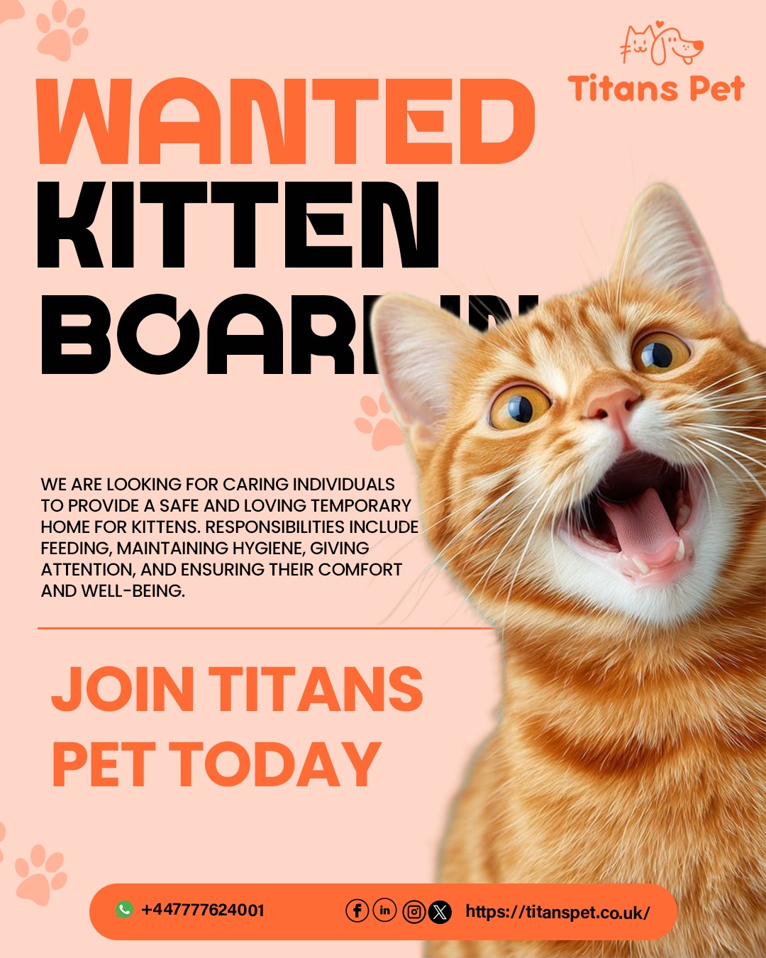 Titans Pet is actively looking for a professional kitten boarding specialist