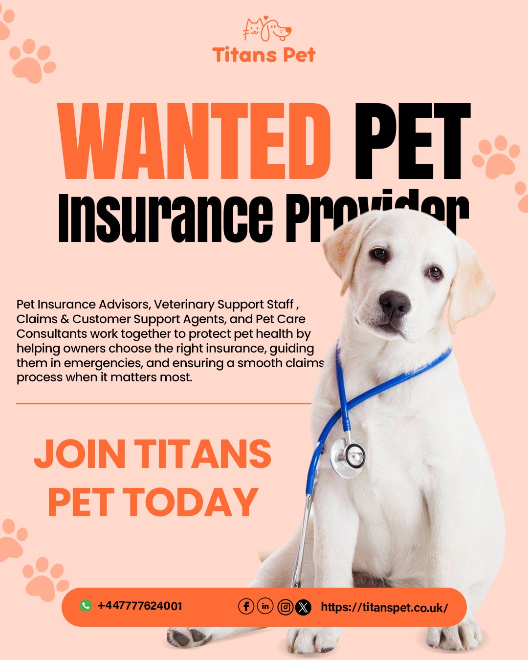 Need a Pet Insurance Provider
