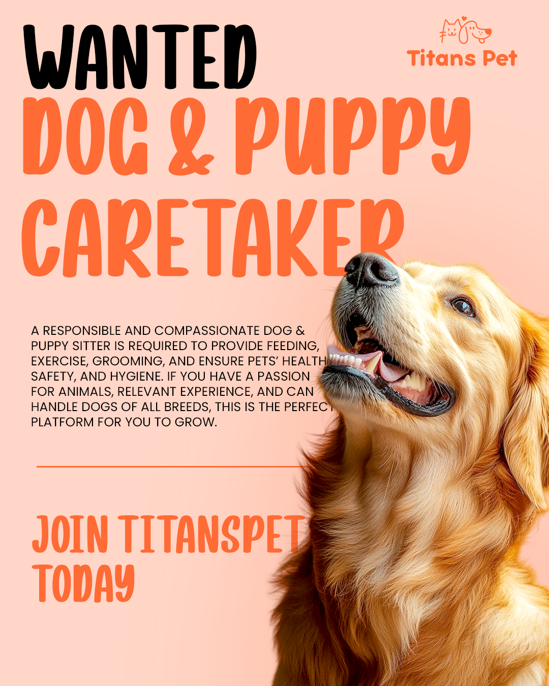 Titans Pet is actively seeking professional Dog & Puppy Sitters / Caretakers