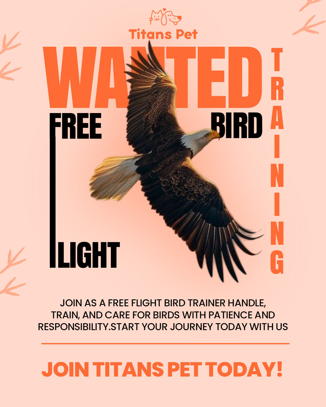 Titans Pet is actively seeking professional Free Flight Bird Trainers