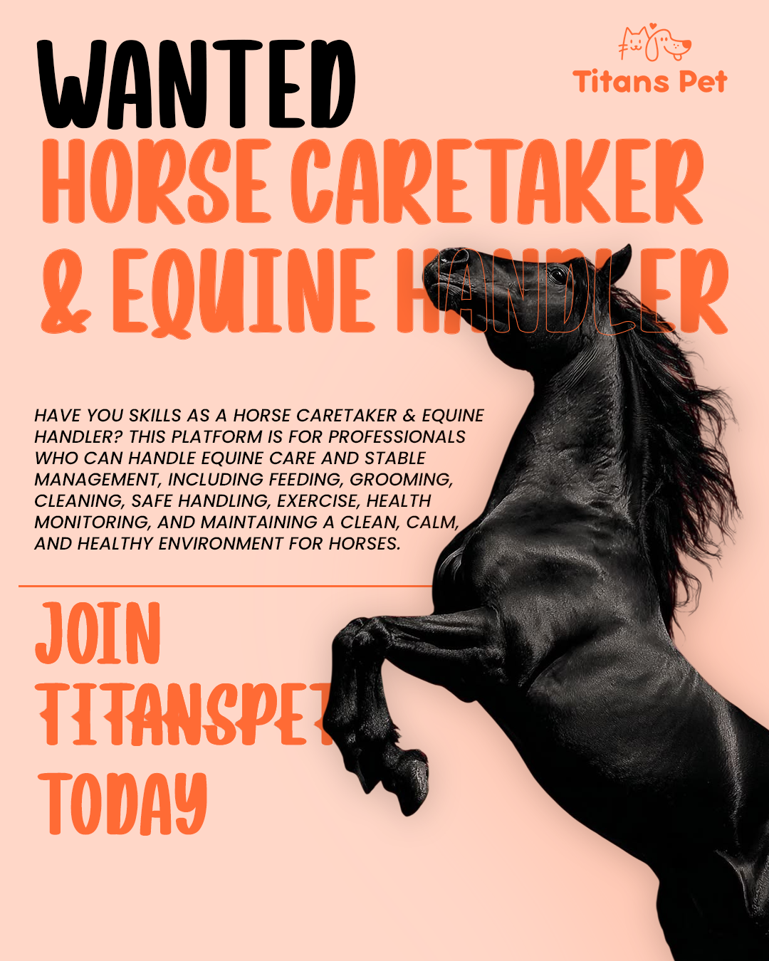 Titans Pet is actively seeking professional Horse Caretakers & Equine Handlers