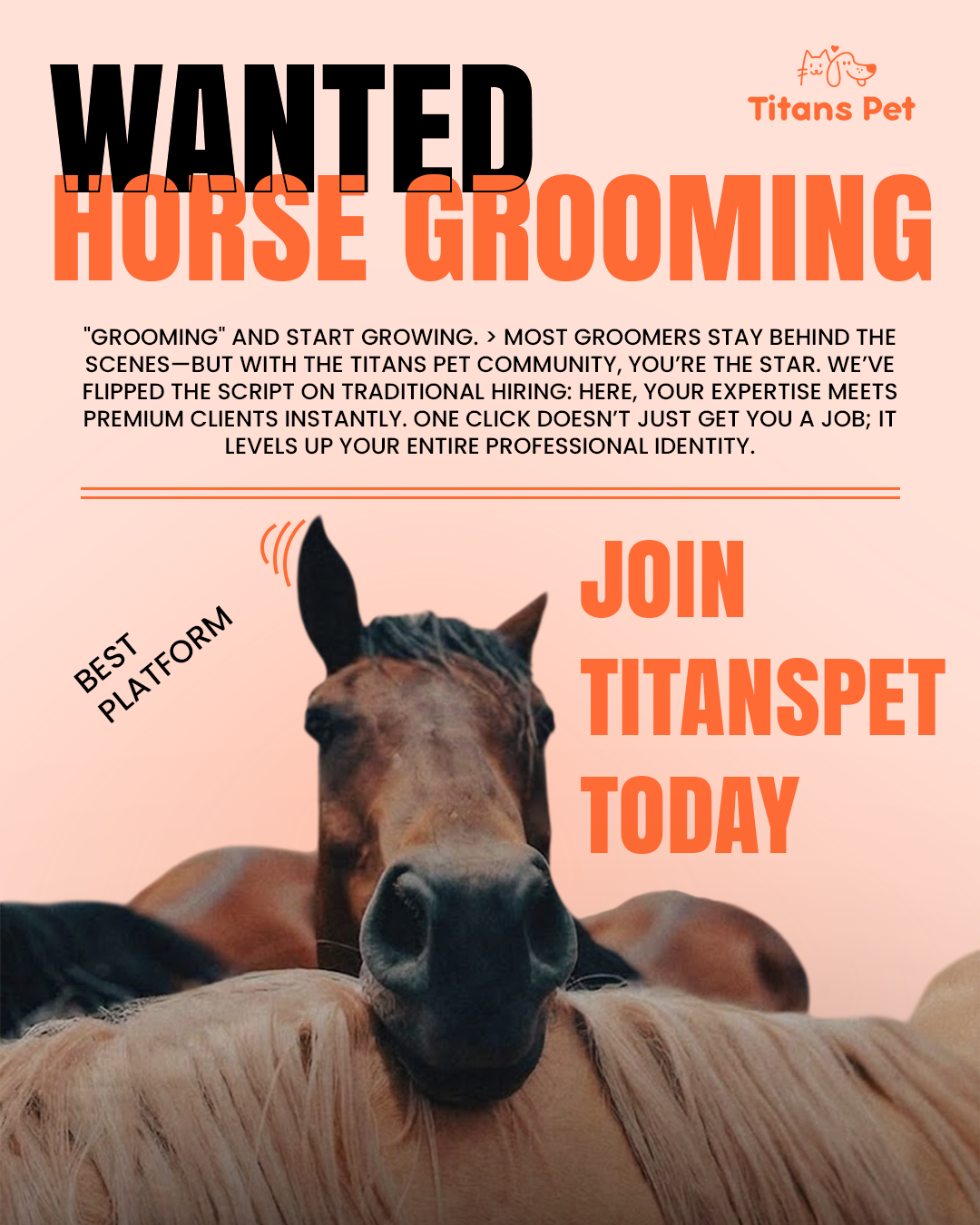 Titans Pet is actively seeking professional Horse Groomers