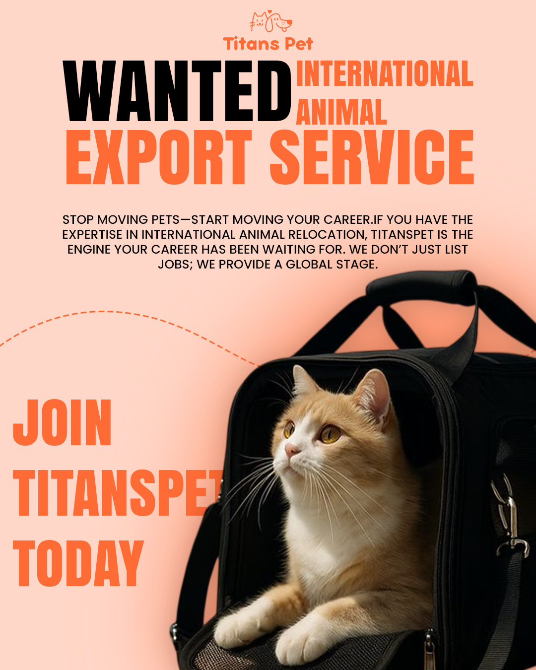 Titans Pet is actively seeking experienced International Animal Relocation & Export Specialists
