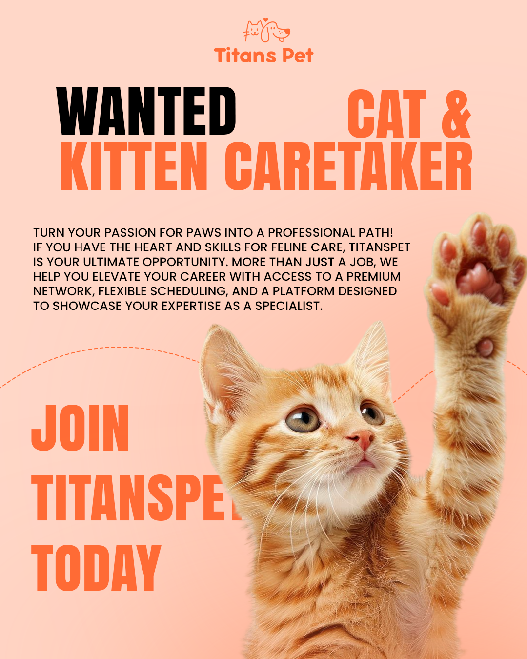 Titans Pet is on the lookout for compassionate and reliable Cat Caretakers and Pet Sitters