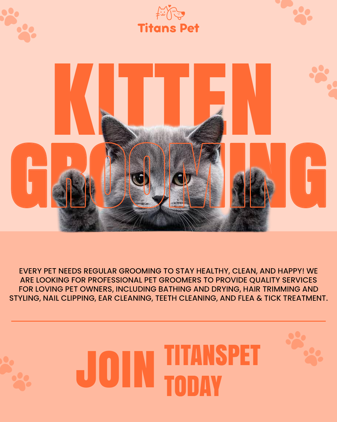 Titans Pet is expanding its beauty and hygiene network! We are seeking professional Cat Groomers and Feline Stylists