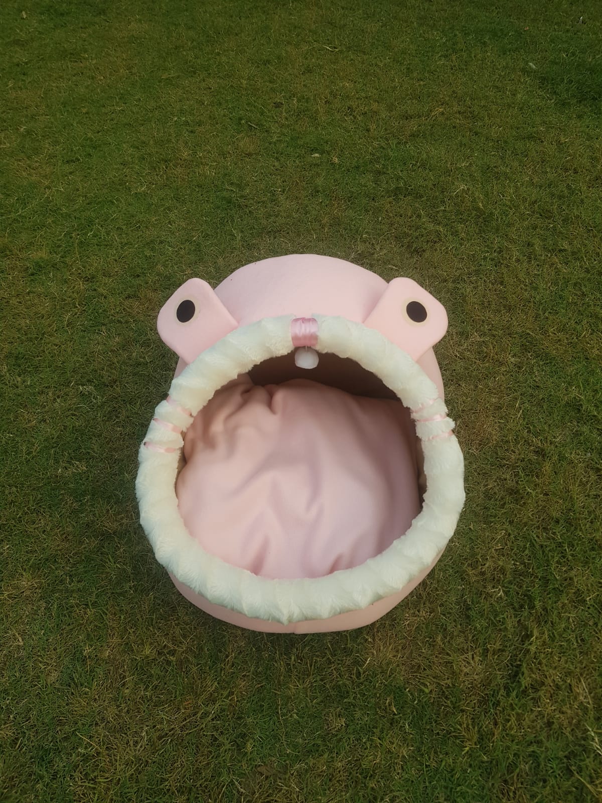 Cat beds available