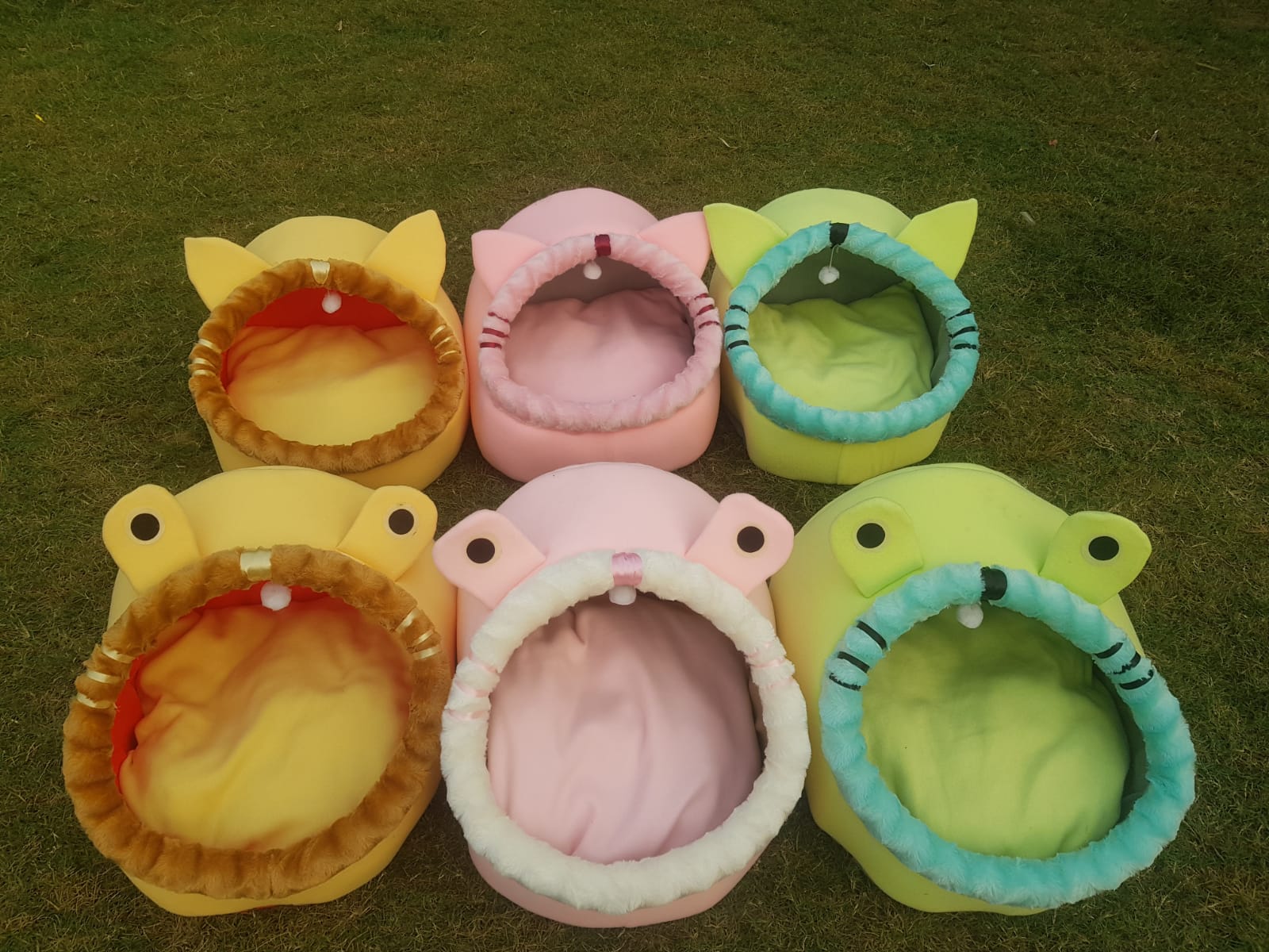 Cat beds available