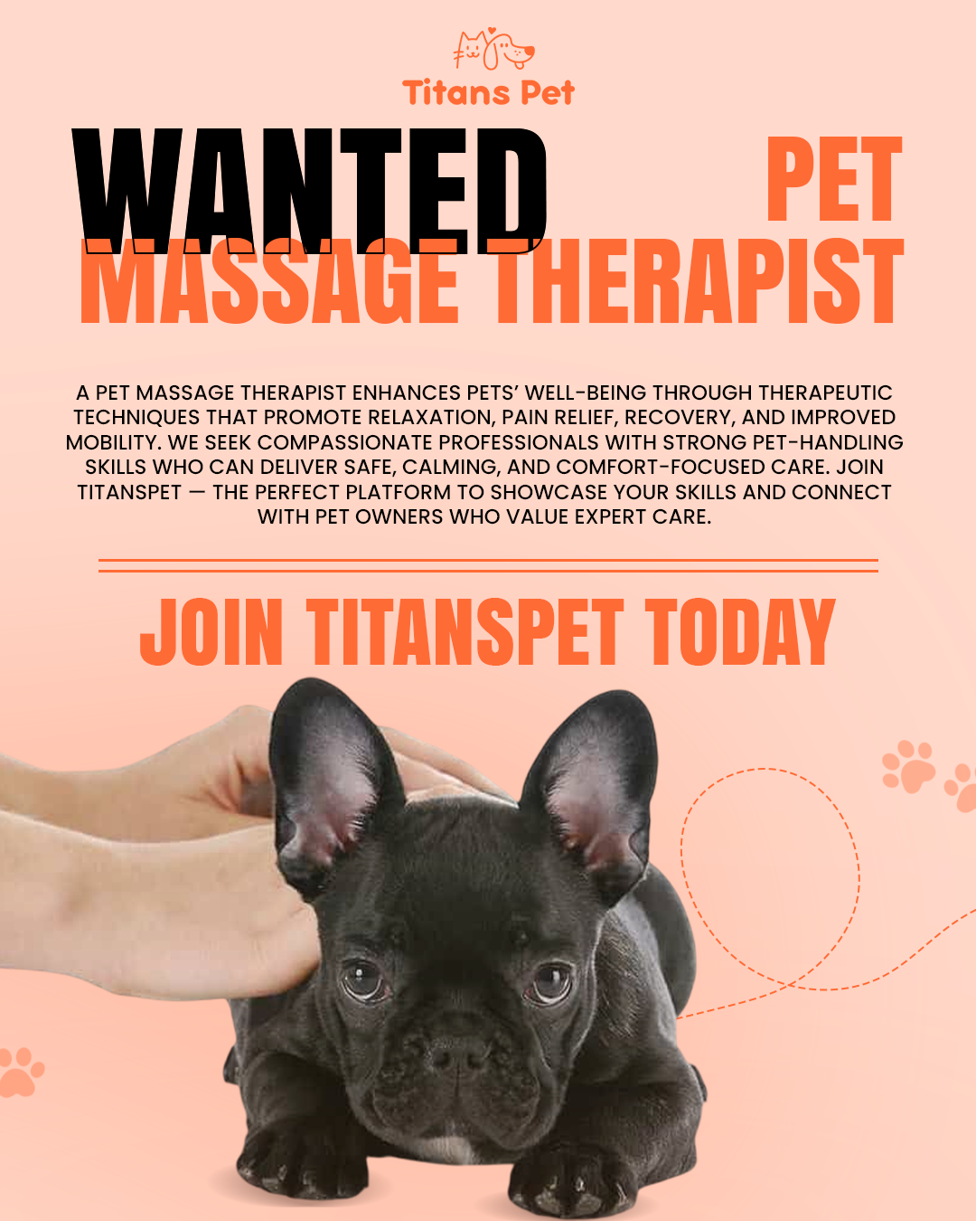 Titans Pet is seeking professional Pet Massage Therapists and Canine/Feline Bodywork Specialists