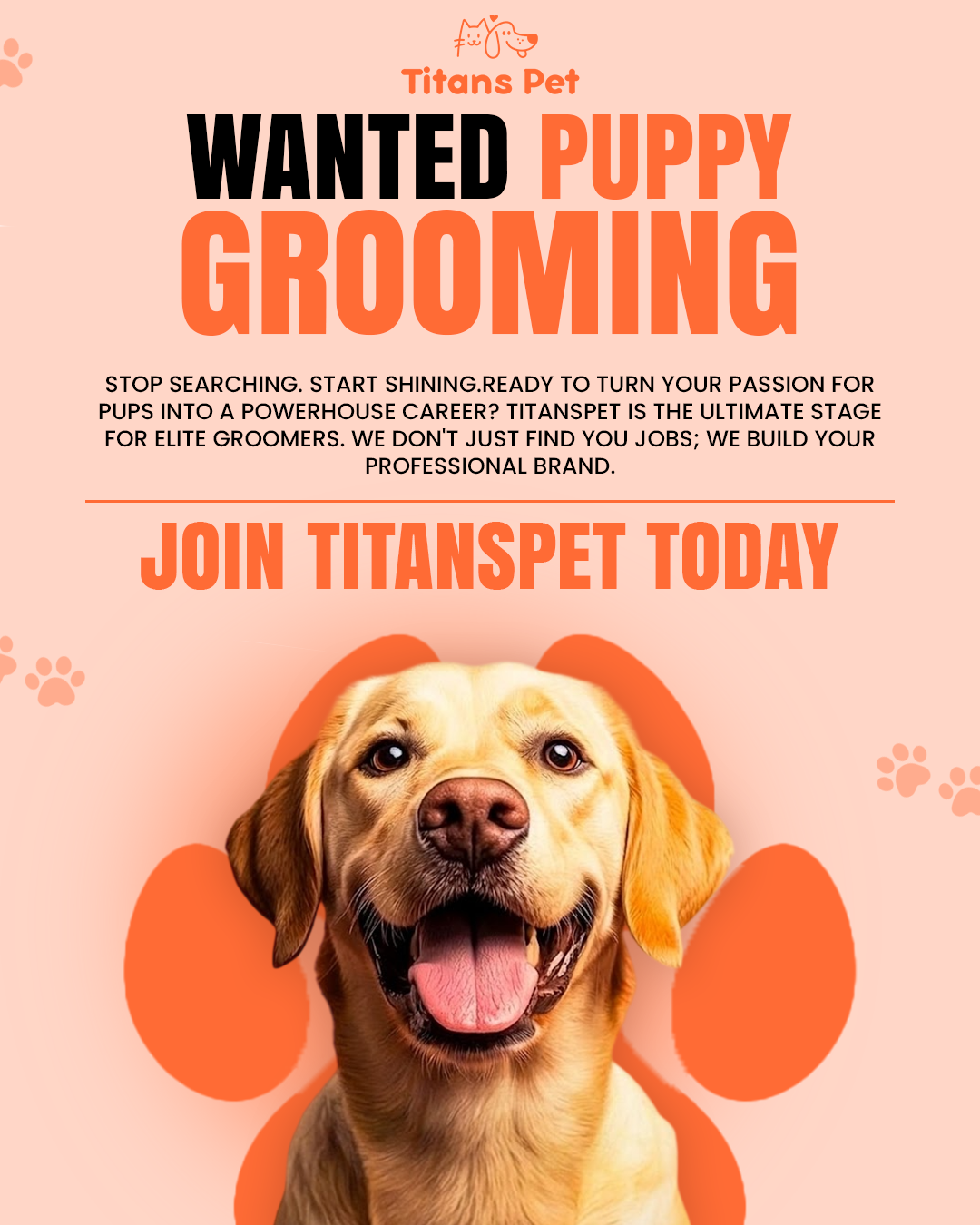 Titans Pet is searching for talented Dog Groomers and Canine Stylists