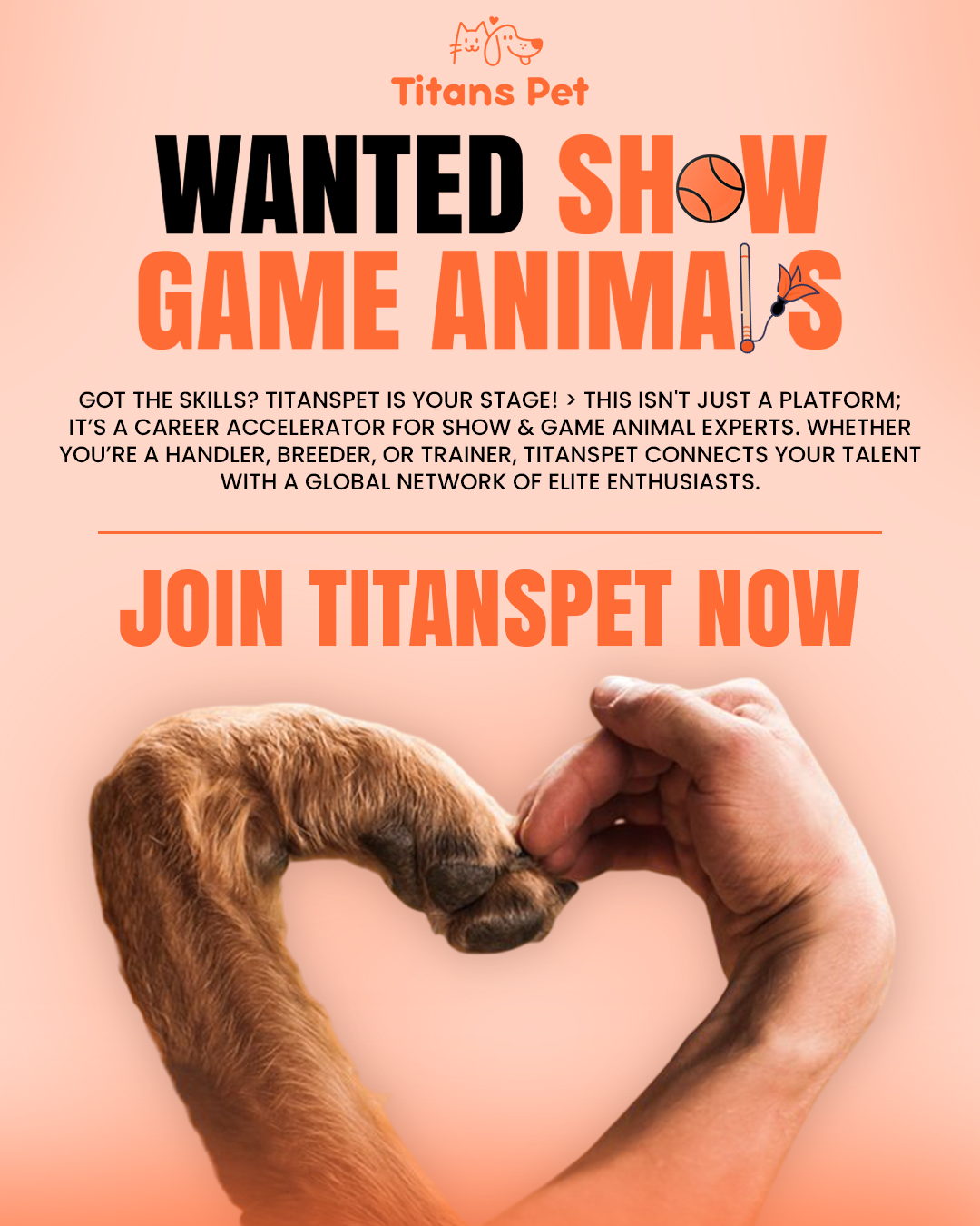 Titans Pet is seeking experts in Show and Game Animals