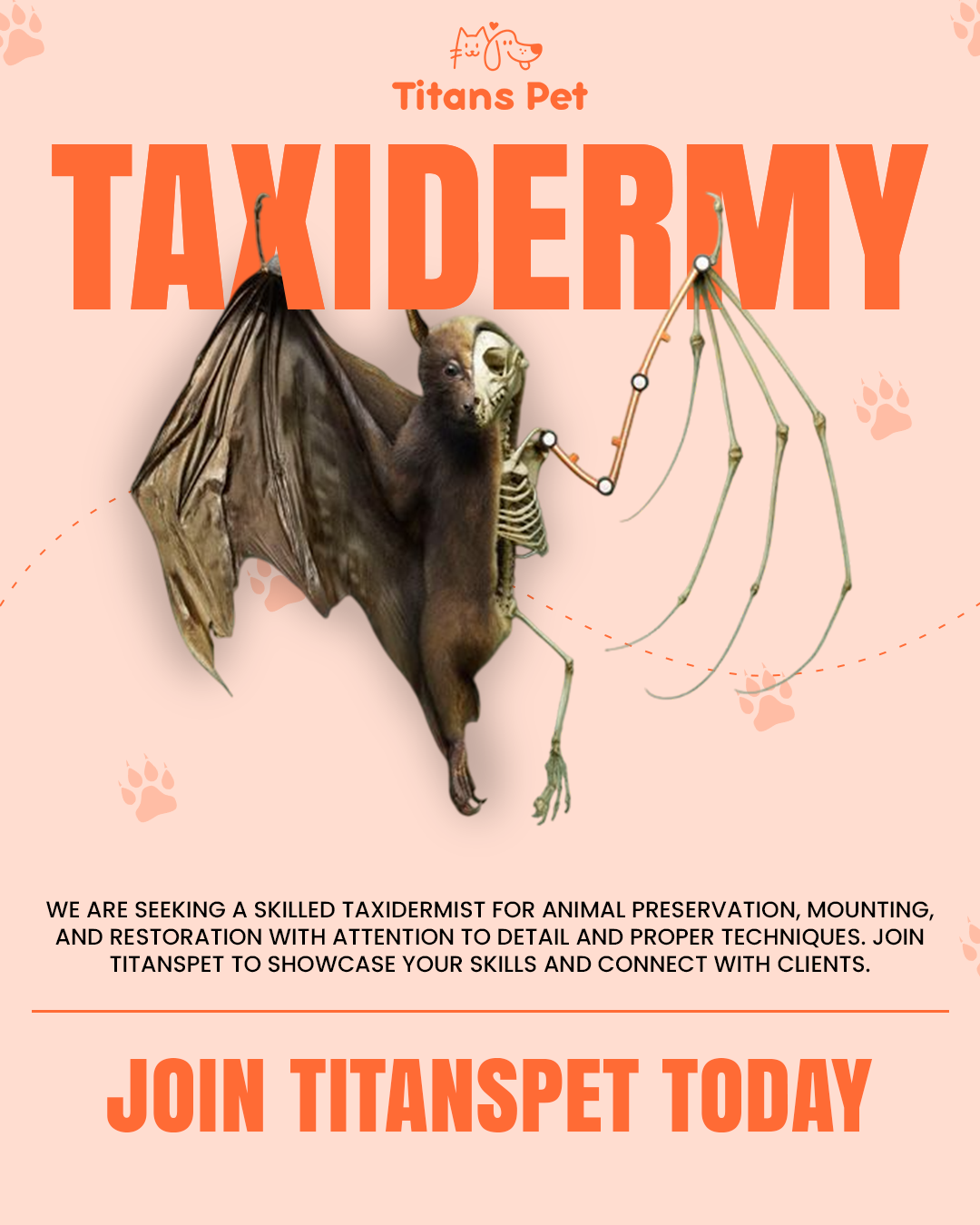 Titans Pet is seeking skilled Taxidermists and Preservation Artists