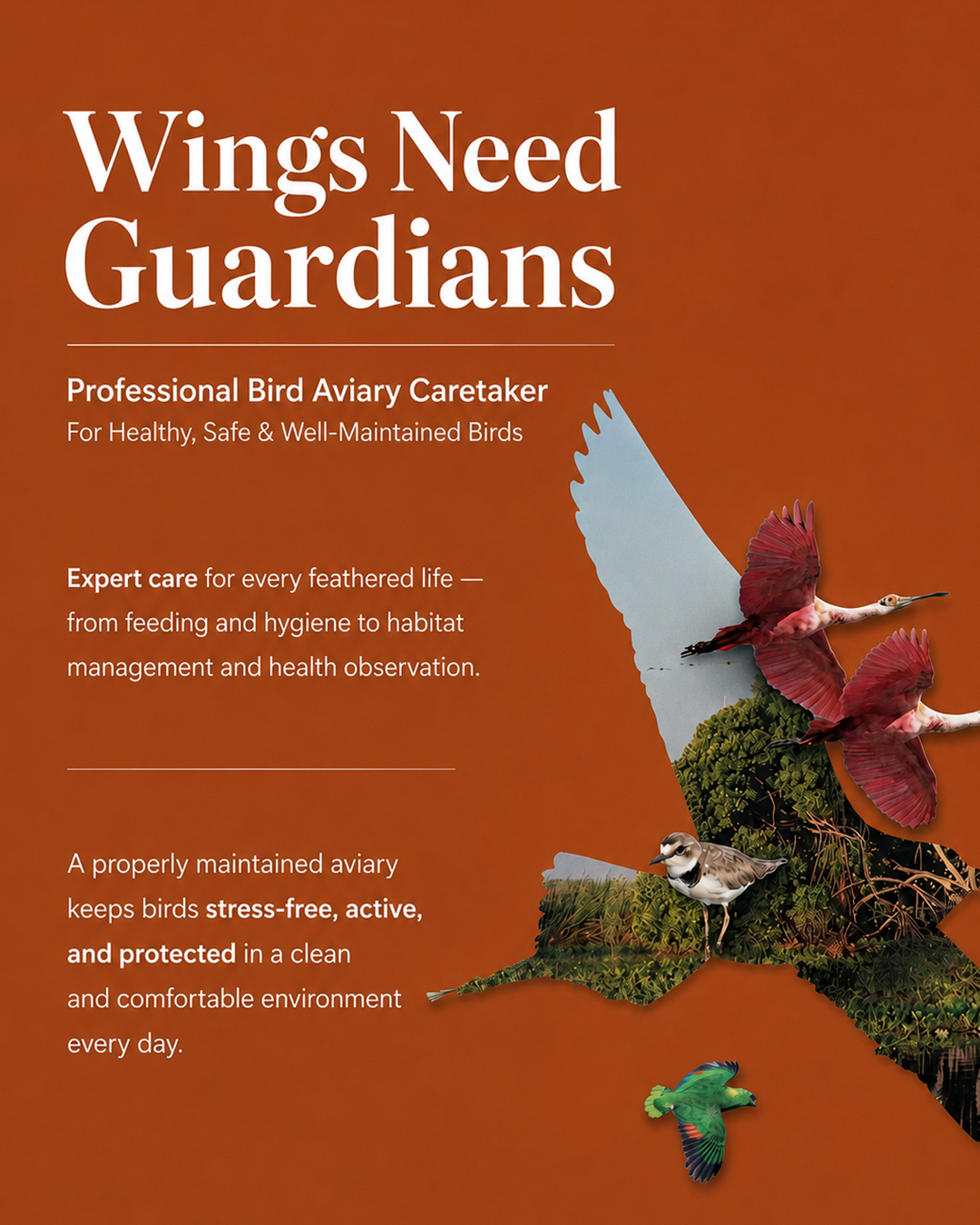 Bird & Aviary Caretaker & Sitter Services Available