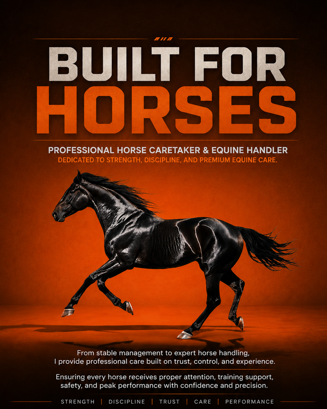 Horse Caretaker & Equine Handler Services Available