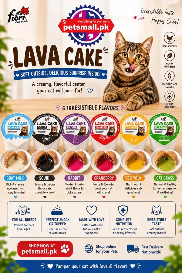 Flori Pet Lava Cake Soup Filled Chicken Delight-Can Food For Cats (65g)